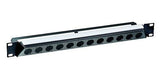 Neutrik Rack panel, angled 30 degrees, 19 " 1RU, accepts up to 12 Neutrik D-shape chassis connectors (not included); black